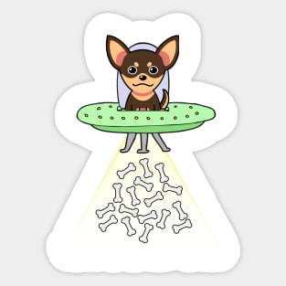 Funny small dog is flying a ufo Sticker